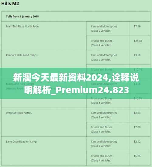 2024年新澳正版资料查询方法,讲解词语解释释义