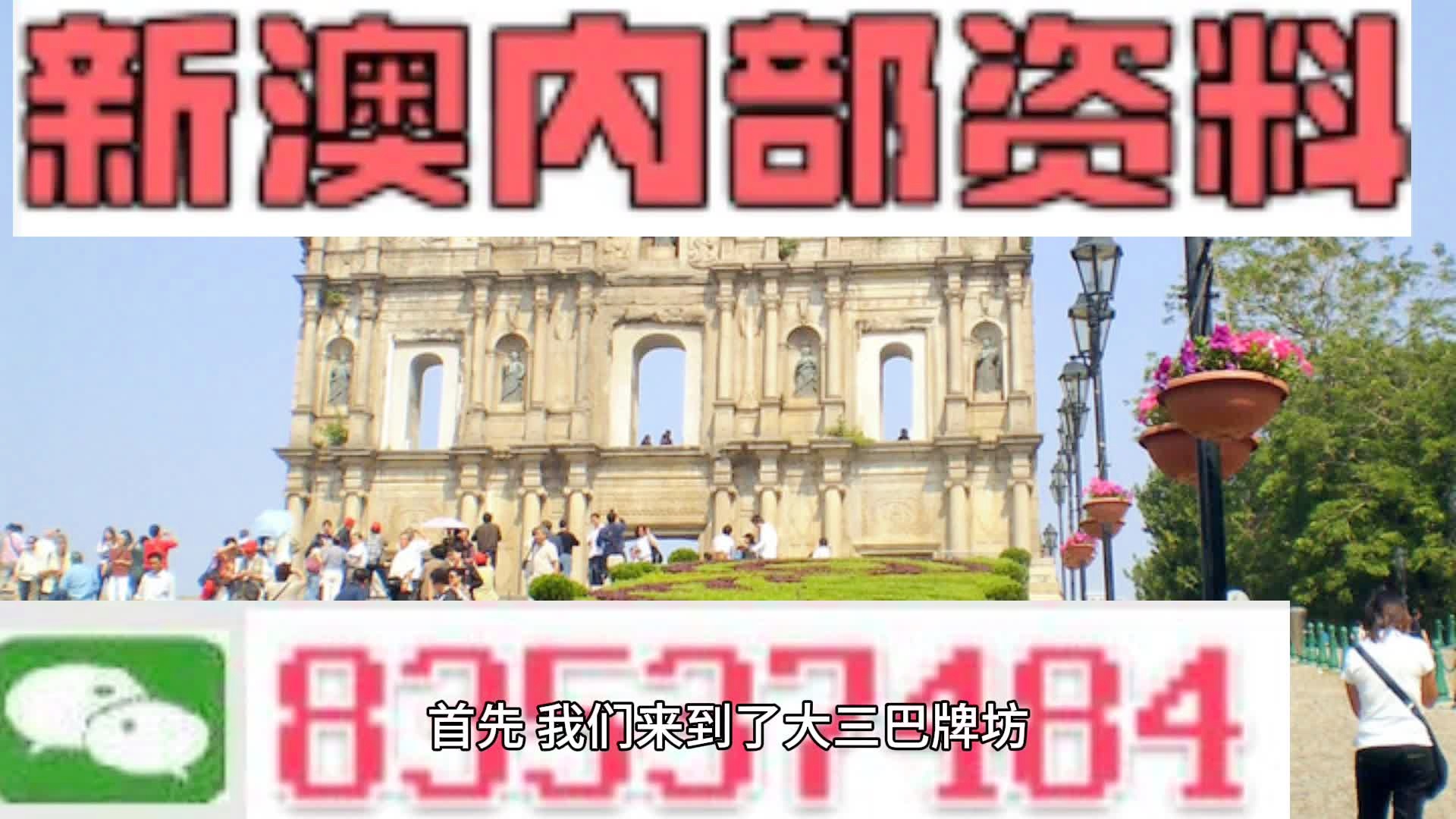 2024年新澳资料免费公开,精选解释解析落实