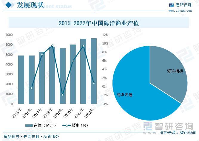 海鲜最新消息，全球海鲜市场趋势与未来展望