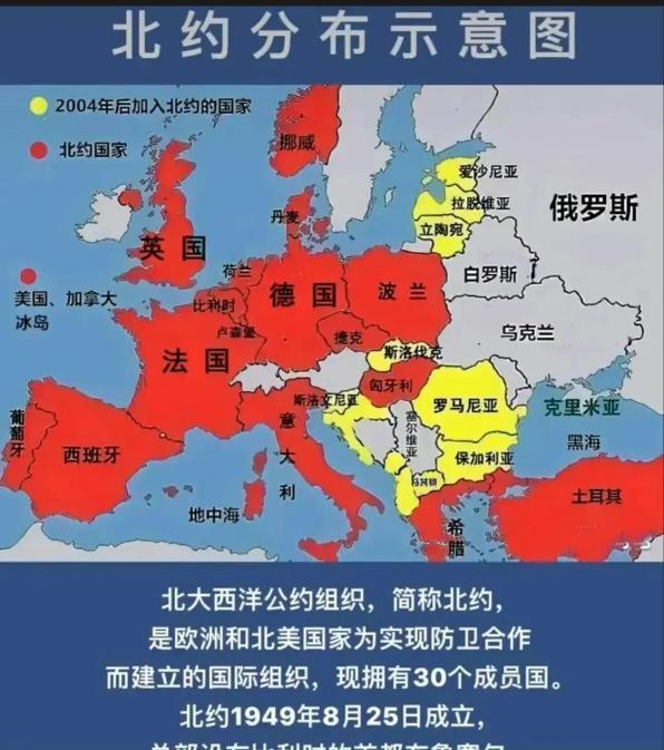 最近最新俄罗斯消息，政治、经济与社会动态概览